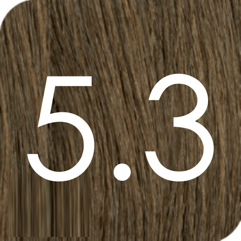 Color Excel 5.3 GOLDEN CHESTNUT
