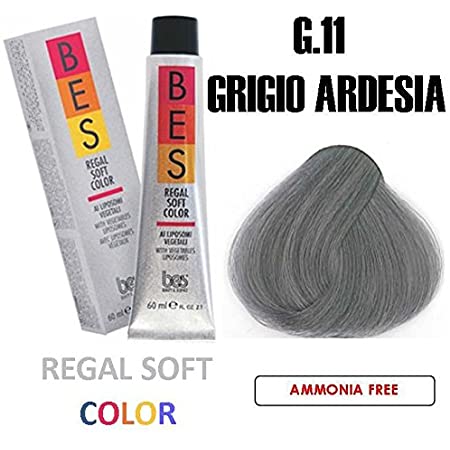 Regal Soft Hair Color G.11 Slate Grey - Scentbar