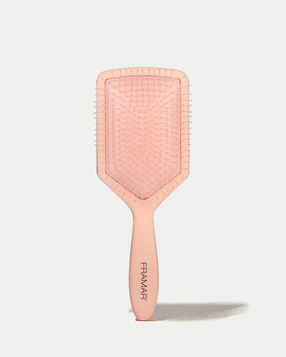 Paddle Brush