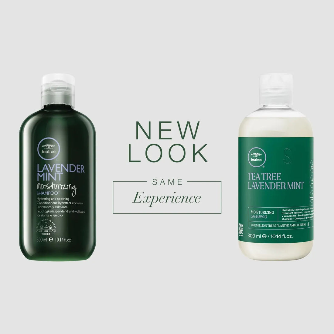 Lavender Mint Moisturizing Shampoo