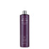 Prodige - Professional Hair Detoxifying Mud 500ml - Scentbar