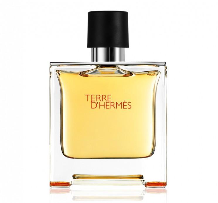 Terre d&