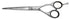 7" Stainless Steel Shears - Scentbar