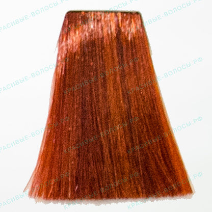 Topchic 700 Max Sensational Orange