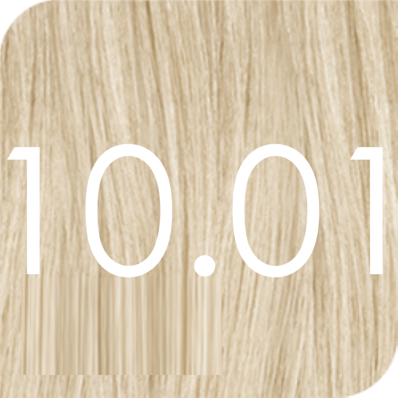 Color Excel 10.01 Light Silver
