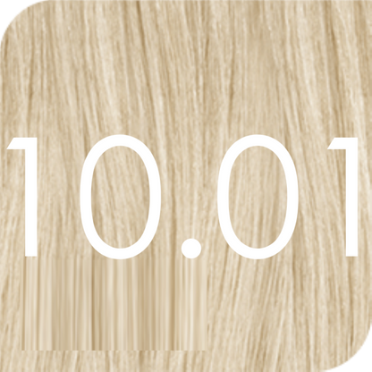 Color Excel 10.01 Light Silver