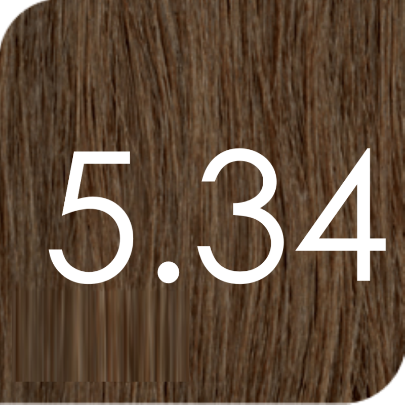 Color Excel 5.34 Chestnut