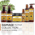 Damage Repair Collection - Scentbar