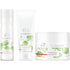 Elements Protect Holiday Trio - Scentbar