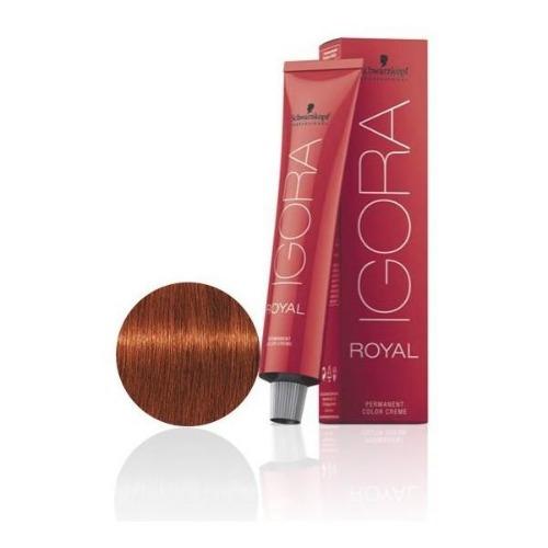 Igora Royal Color 6-77 Dark Blonde Copper Extra - Scentbar