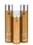 keratin infused Keratinfixx Repair Trio - Scentbar