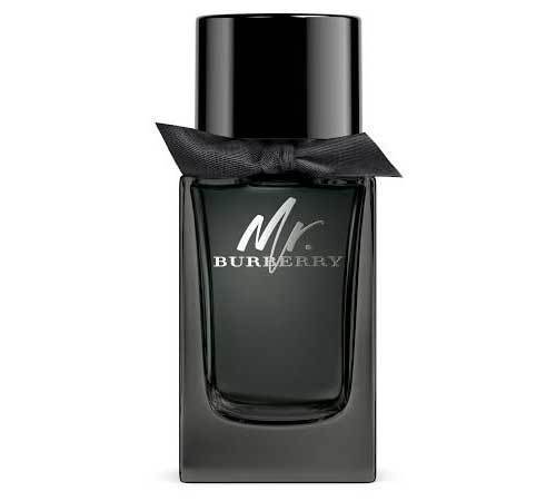 Mr. Burberry eau de parfum spray - Scentbar