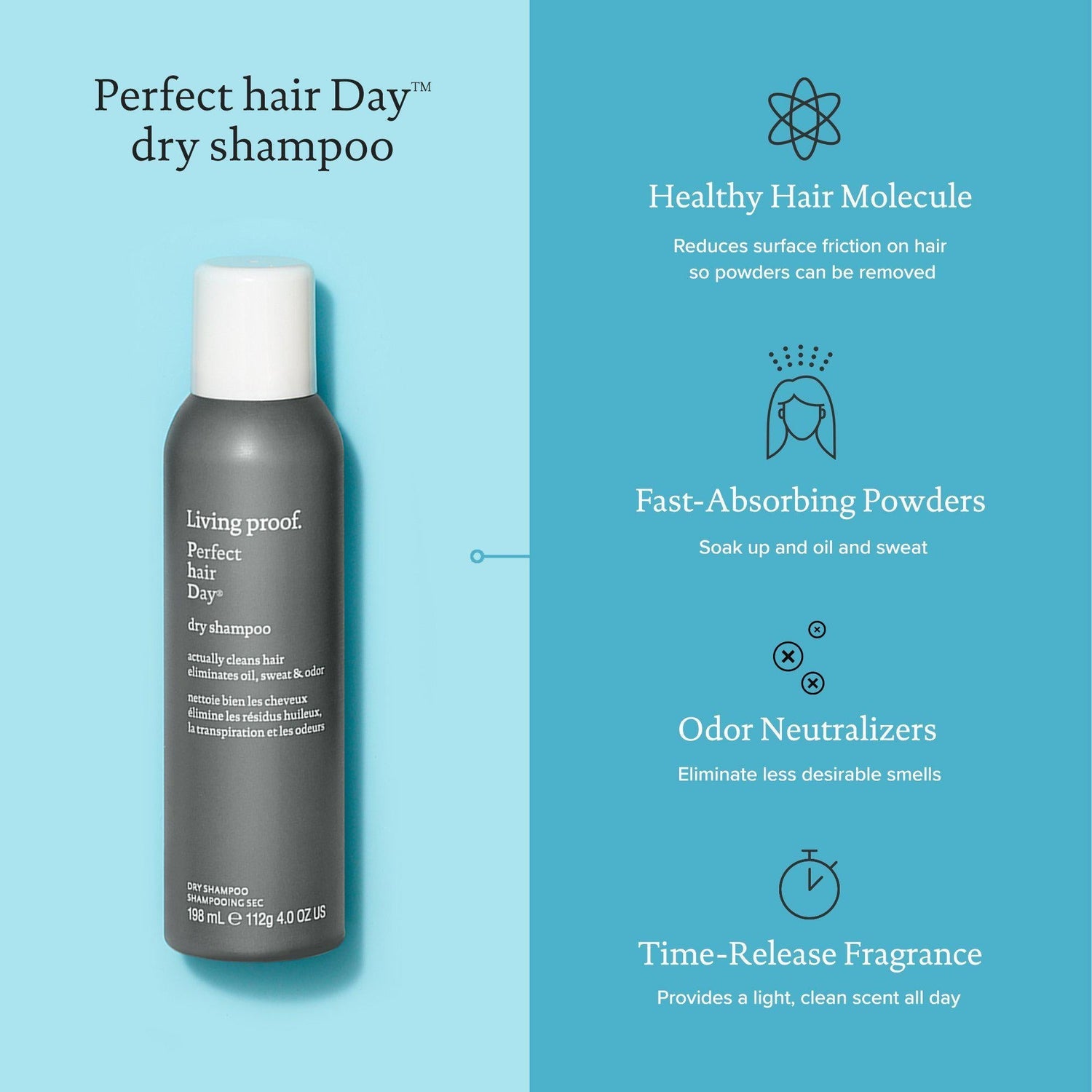 Perfect hair Day Dry Shampoo - Scentbar