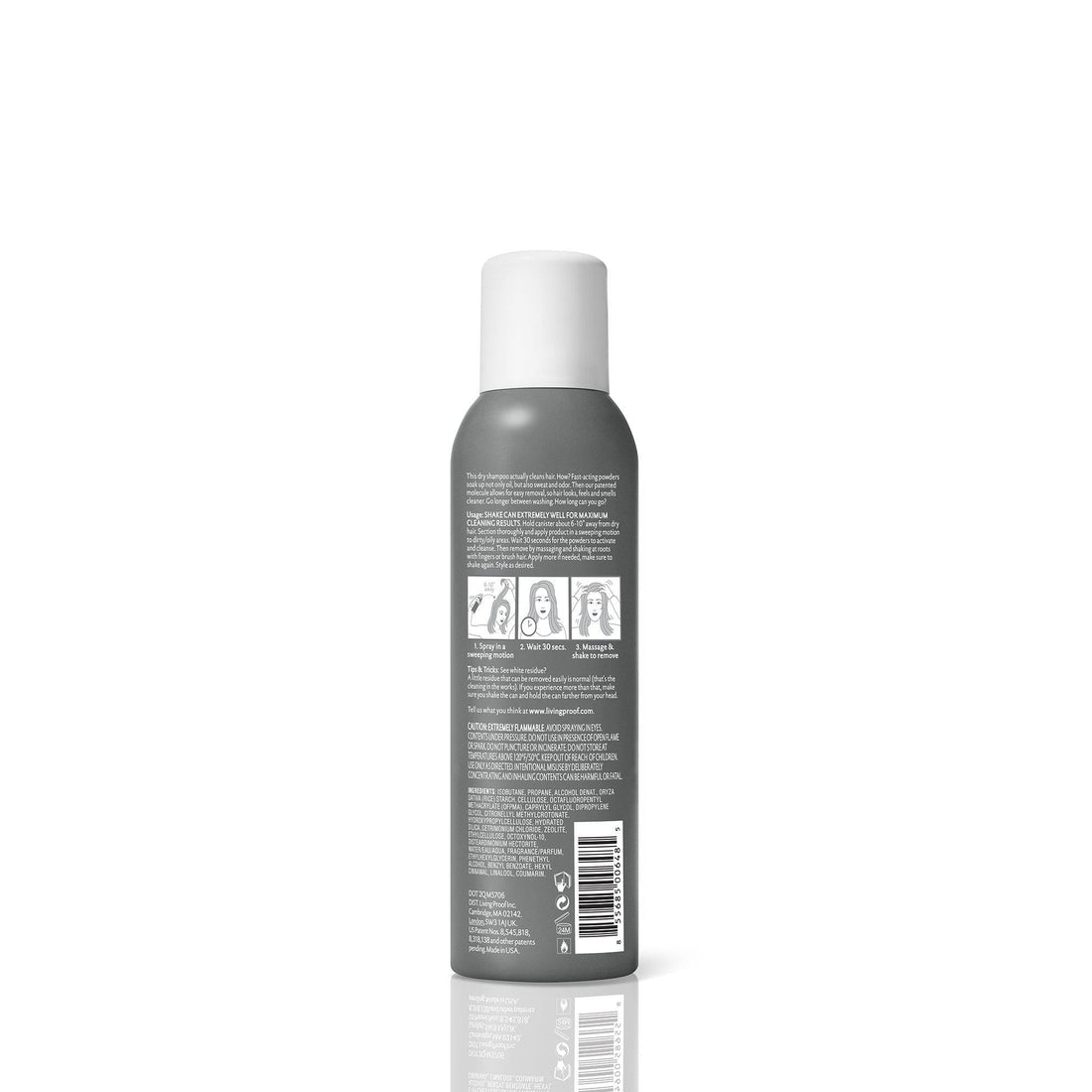 Perfect hair Day Dry Shampoo - Scentbar