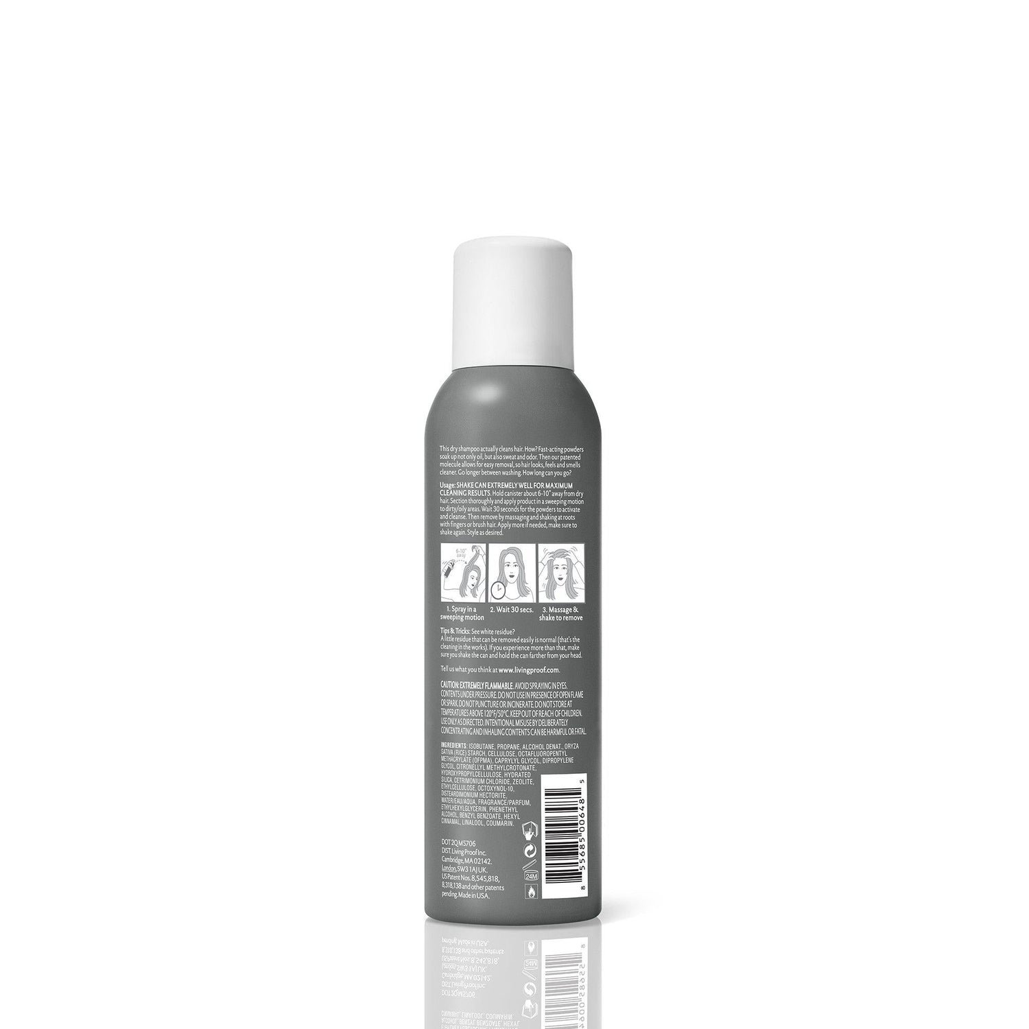 Perfect hair Day Dry Shampoo - Scentbar