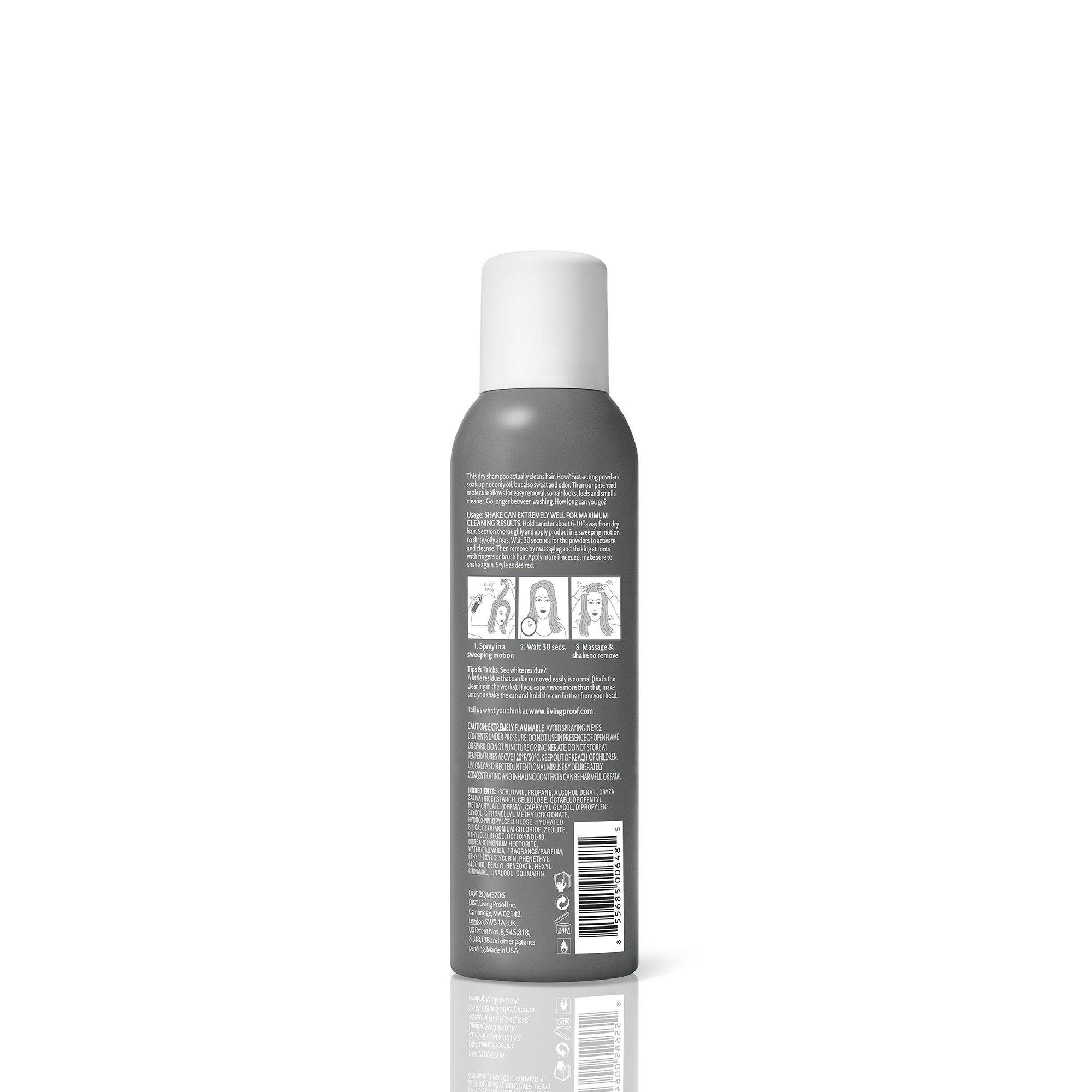 Perfect hair Day Dry Shampoo - Scentbar
