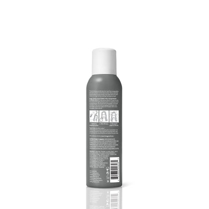 Perfect hair Day Dry Shampoo - Scentbar