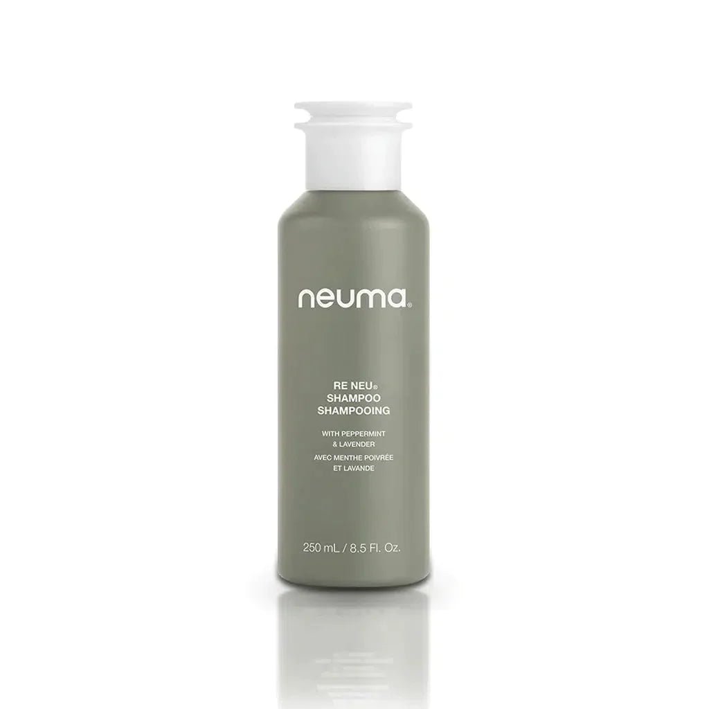 ReNeu Shampoo - Scentbar