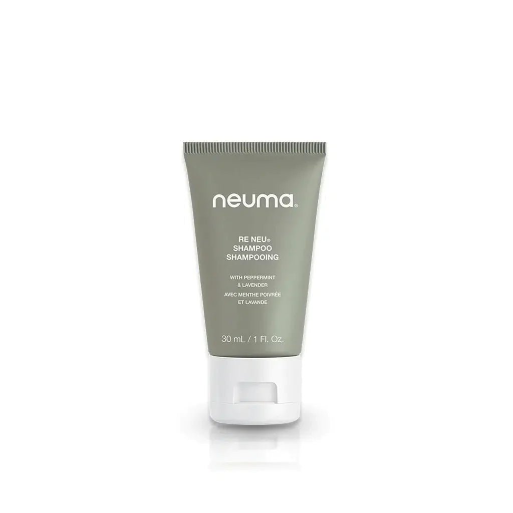 ReNeu Shampoo - Scentbar