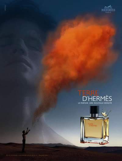 Terre d&